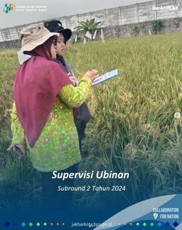 Supervisi Ubinan Subround 2 Tahun 2024