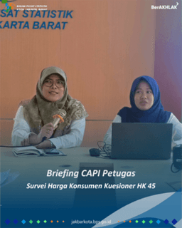 Briefing Computer Assisted Personal Interview (CAPI) for Price Statistics Survey